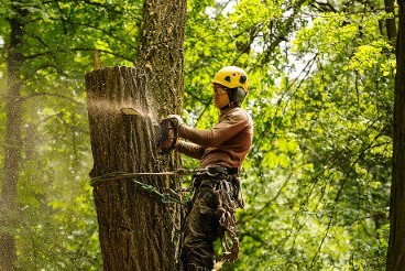 Tree Trimming Chain Saw With PPE